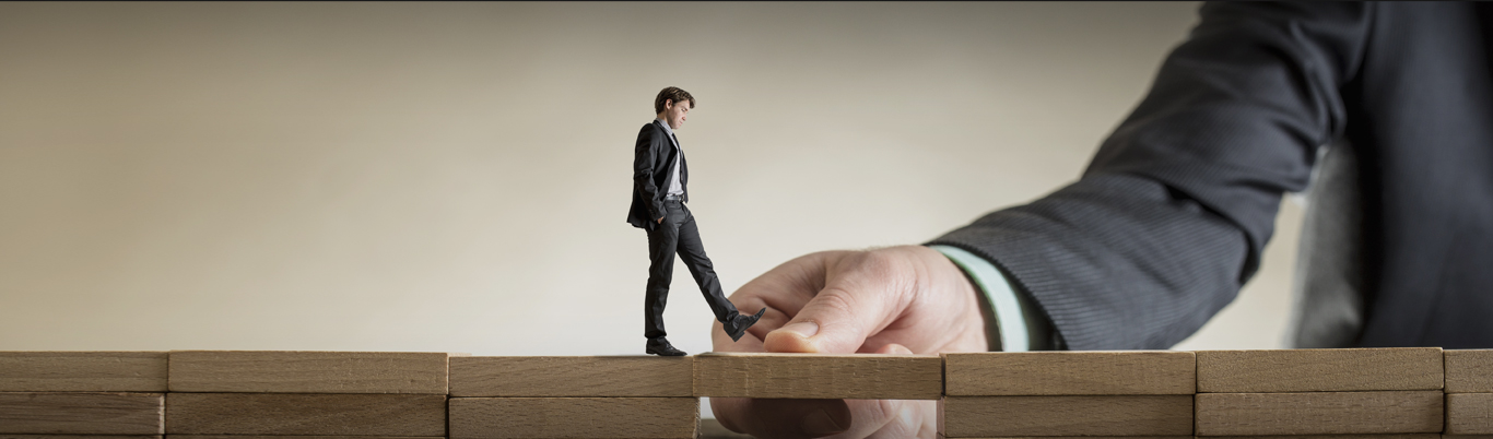 Career Counselling